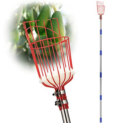 Featured image for 5 Fruit Picker Poles That Will Simplify Your Harvest