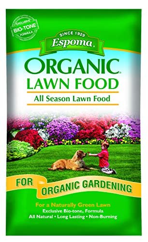 Featured image for 5 Best Organic Lawn Fertilizers to Green Up Your Yard
