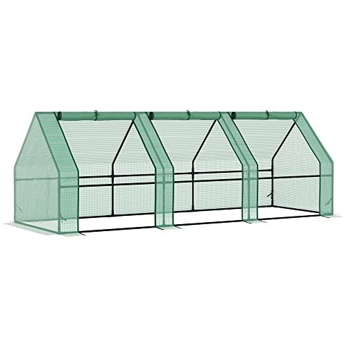 Featured image for The 5 Best Cold Frames for Gardeners in 2025