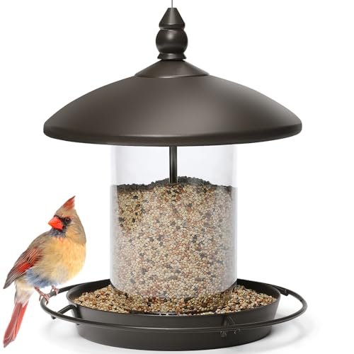 Featured image for The 5 Best Bird Feeders to Attract More Birds in 2025