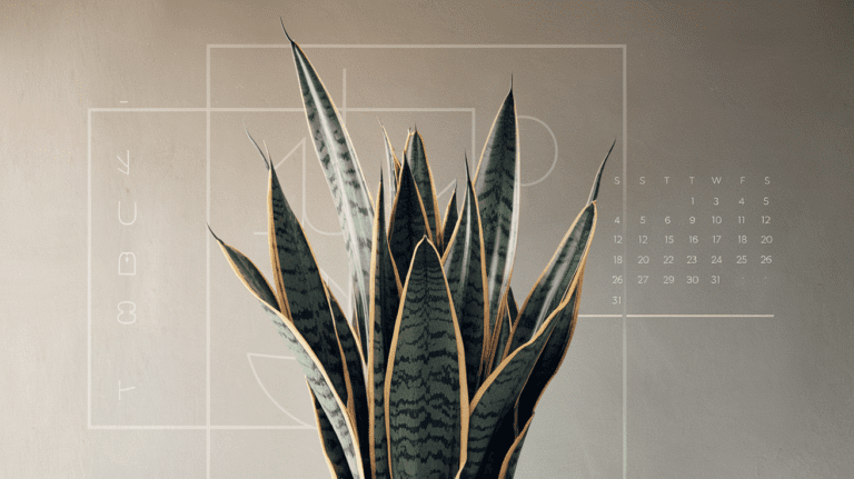 **"Modern snake plant with water droplet gradient and seasonal care calendar for optimal watering schedule"** *(120 characters, includes keyword "sna