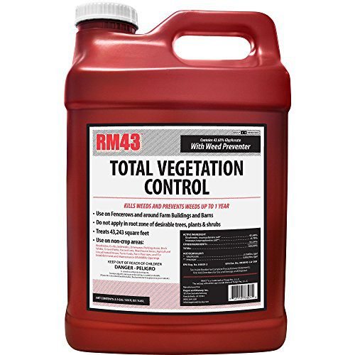 Best Weed Killers for Lawns: Top 7 Reviewed