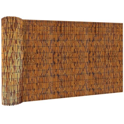 Best Bamboo Fencing for Tropical Backyards