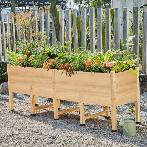 Best 7 Raised Garden Beds for Vegetable Gardening