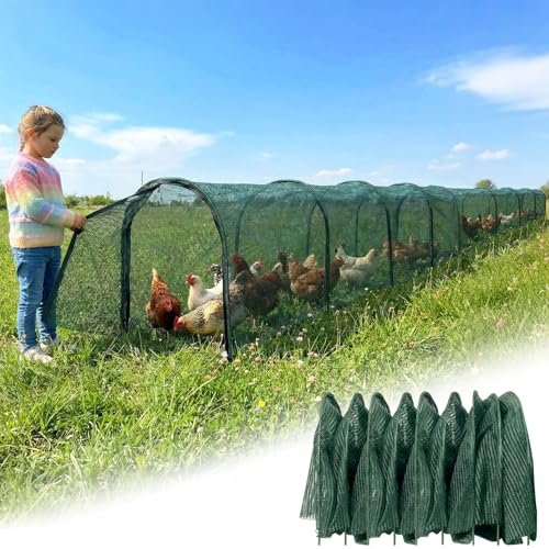 Best Chicken Coop Runs for Free-Range Flocks